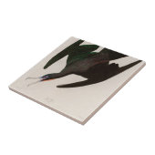 Frigate Pelican Birds of America Audubon Print Tegeltje (Zijkant)