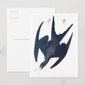 Frigate Penguin Briefkaart (Voorkant / Achterkant)