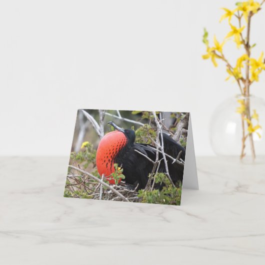 Frigatebird Greeting Card Kaart (Gele Bloem)