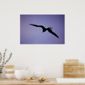 Frigatebird Silhouette Poster (Keuken)