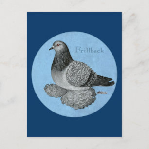 Frillback Blue Grizzle Pigeon Briefkaart