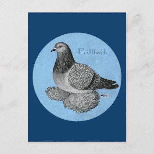 Frillback Blue Grizzle Pigeon Briefkaart (Voorkant)