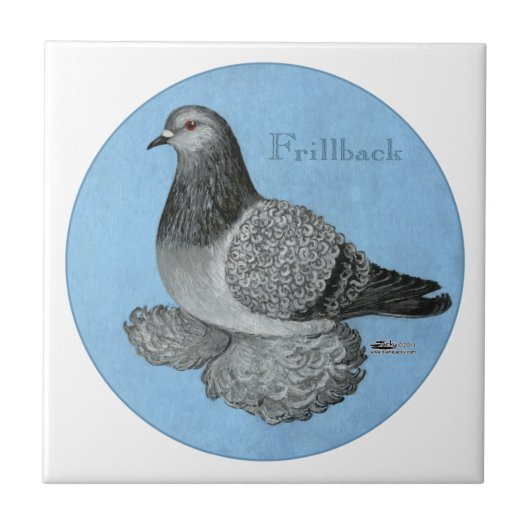 Frillback Blue Grizzle Pigeon Tegeltje (Voorkant)