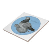 Frillback Blue Grizzle Pigeon Tegeltje (Zijkant)