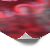 Frilled Echeveria poster (Hoek)