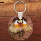 Frilled Lizard - Chlamydosaurus kingii Sleutelhanger (Voorkant)