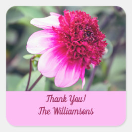 Frilly Pink en Magenta Dahlia Hartelijk dank Vierkante Sticker