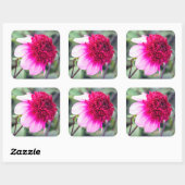 Frilly Pink en Magenta Dahlia Vierkante Sticker (Vel)