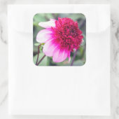 Frilly Pink en Magenta Dahlia Vierkante Sticker (Tas)