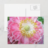 Frilly Pink Poppy Briefkaart (Voorkant / Achterkant)