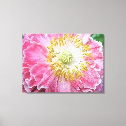 Frilly Pink Poppy Canvas Afdruk (Voorkant)