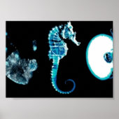 Fringe Glyphs Poster (Voorkant)