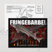 Fringebarbel-Ship Sturgeon Briefkaart (Voorkant / Achterkant)