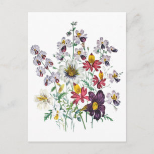 Fringebloemen en Velvet Trumpet Flowers Briefkaart