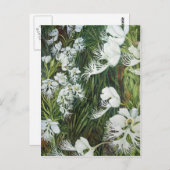 Fringed Prairie Orchids Briefkaart (Voorkant / Achterkant)