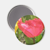 Fringed Tulips Magnet (Voorkant / Achterkant)