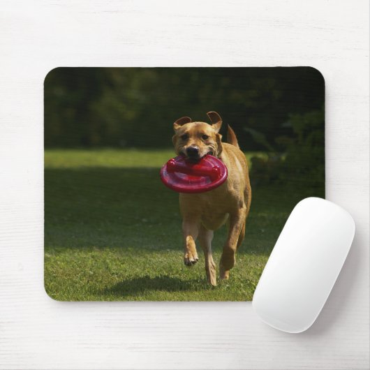 Frisbee afspelen muismat (Met muis)