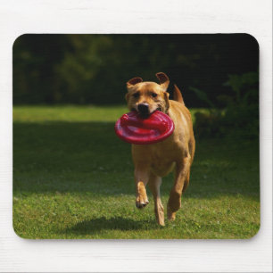 Frisbee afspelen muismat