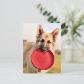 Frisbee Briefkaart (Staand voorkant)