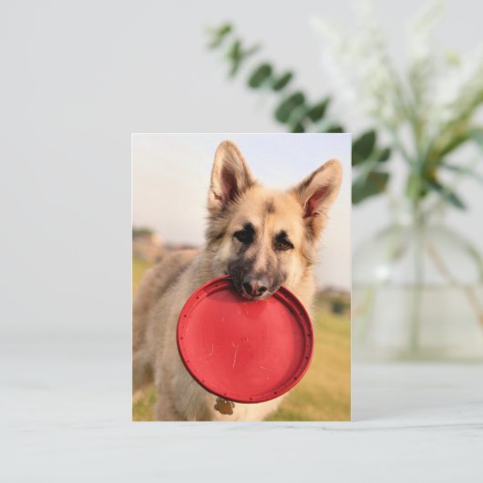 Frisbee Briefkaart (Staand voorkant)