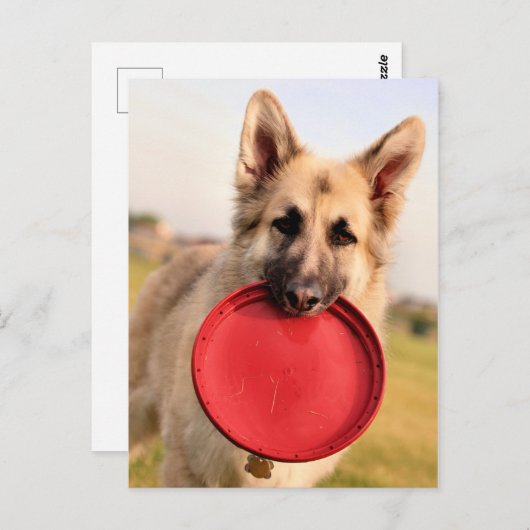 Frisbee Briefkaart (Voorkant / Achterkant)