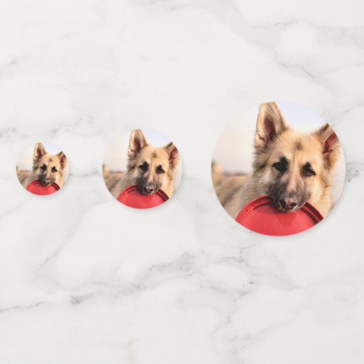 Frisbee Confetti (Achterkanten)
