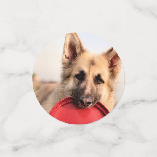 Frisbee Confetti (Kleine voorkant)