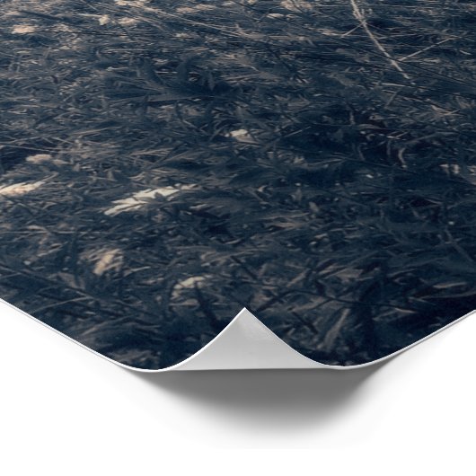 Frisbee Disk Golf Basket Poster (Hoek)