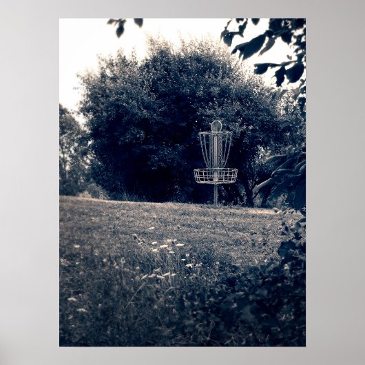 Frisbee Disk Golf Basket Poster (Voorkant)