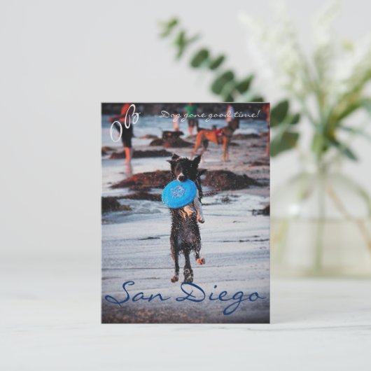 Frisbee Dog Briefkaart (Staand voorkant)