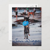 Frisbee Dog Briefkaart (Voorkant / Achterkant)