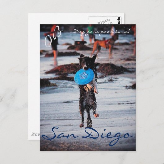 Frisbee Dog Briefkaart (Voorkant / Achterkant)