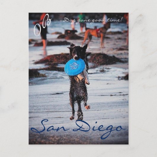 Frisbee Dog Briefkaart (Voorkant)