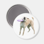 Frisbee Dog Meme Magnet (Voorkant / Achterkant)