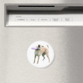 Frisbee Dog Meme Magnet (Insitu (Vaatwasser))