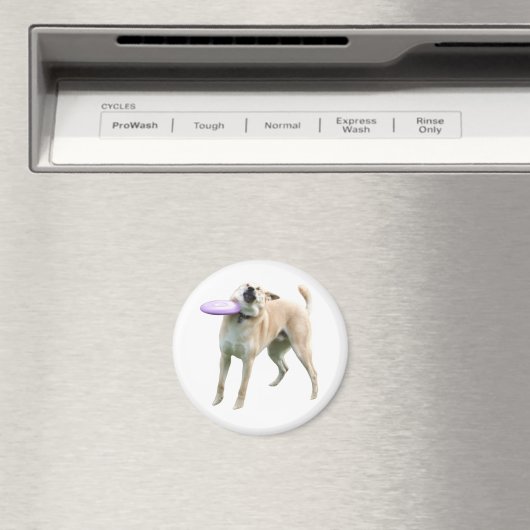 Frisbee Dog Meme Magnet (Insitu (Vaatwasser))