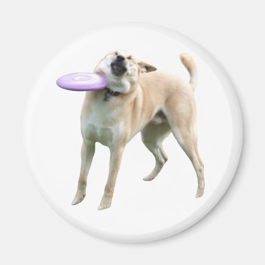 Frisbee Dog Meme Magnet (Voorkant)