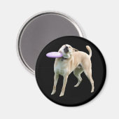 Frisbee Dog Meme Magnet (Voorkant / Achterkant)