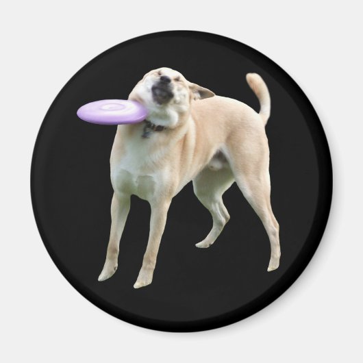 Frisbee Dog Meme Magnet (Voorkant)