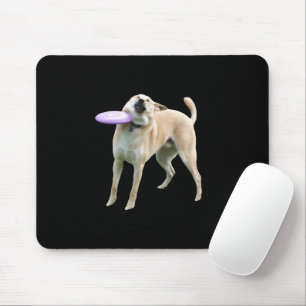Frisbee Dog Meme Muismat