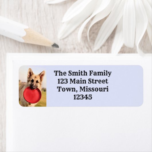 Frisbee Etiket (Insitu)