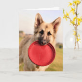 Frisbee Kaart (Gele Bloem)