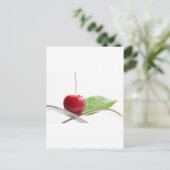 Frische rote Kirschen Gourmet Zauber Briefkaart (Staand voorkant)