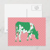 Frisiaanse koe, Friese koe Briefkaart (Voorkant / Achterkant)