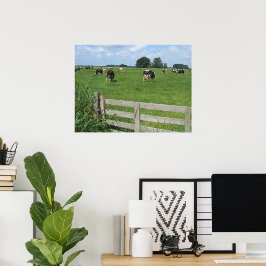 Frisian Holstein Cattle Dairy Koeien Foto Poster (Thuiskantoor)