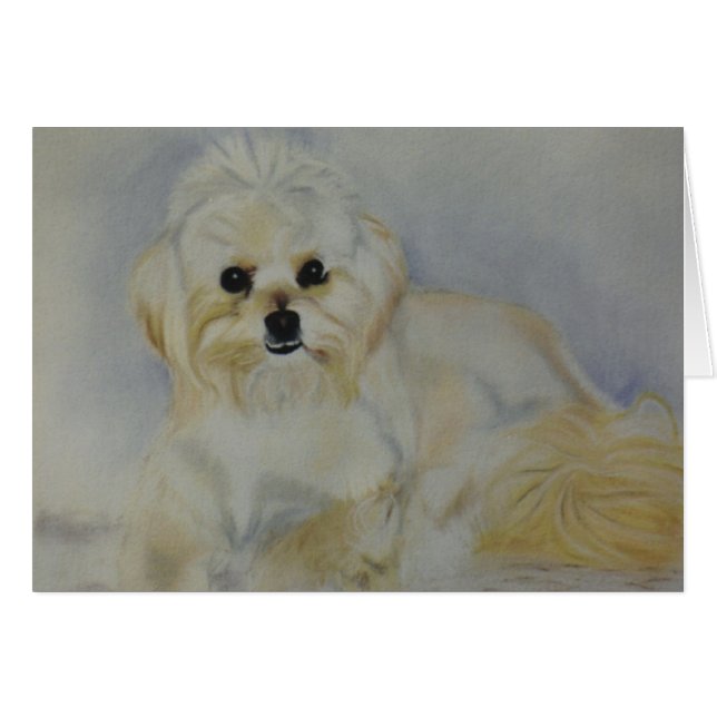 "Frisky" (Voorkant Horizontaal)