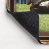 Frisky Foal ~ mousepad Muismat (Hoek)