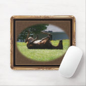 Frisky Foal ~ mousepad Muismat (Met muis)