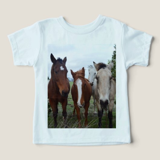 Frisky haar, vier paardenvrienden, (Design voorkant)