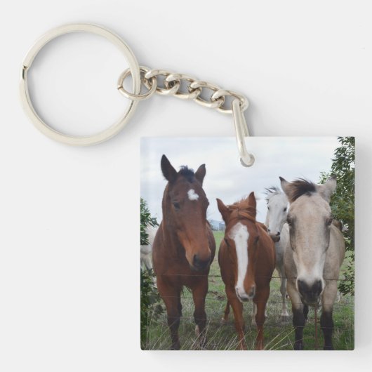Frisky haar, vier paardenvrienden, sleutelhanger (voorkant)